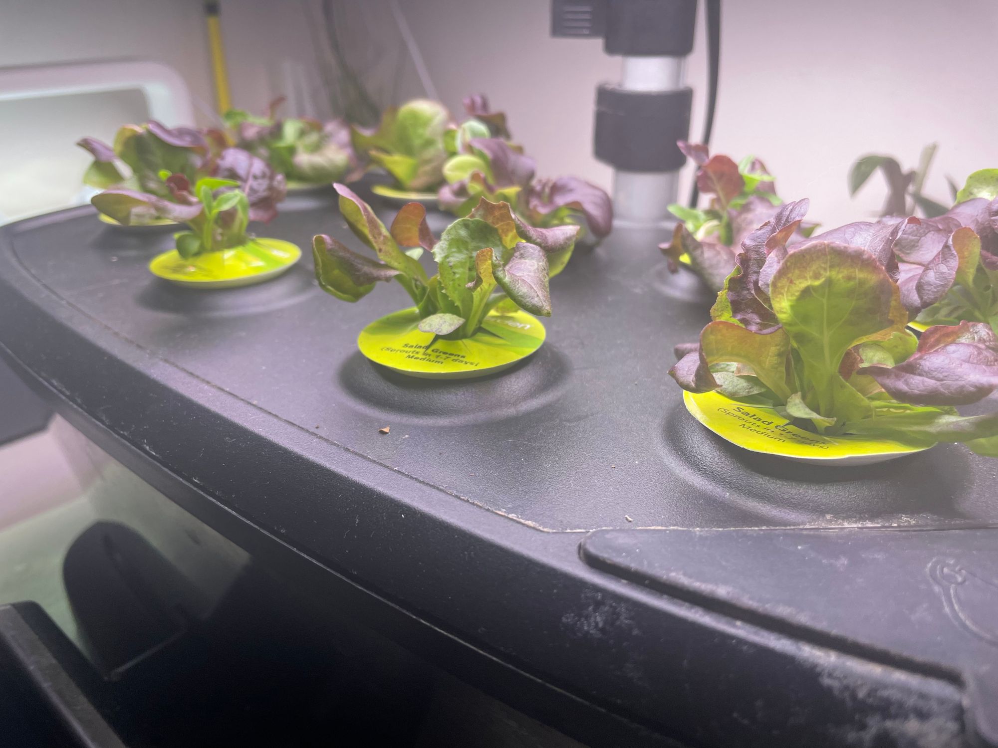 Mini Hydroponic Gardens AeroGarden Click Grow